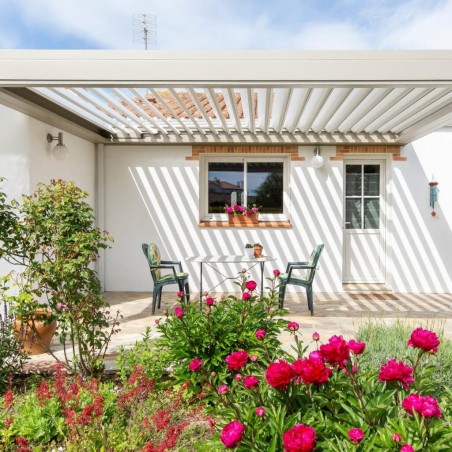 Tu jardín puede hacer la diferencia para el clima: ¡Descubre cómo!