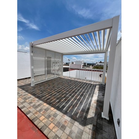 Roof garden: la nueva tendencia de lujo en hogares urbanos